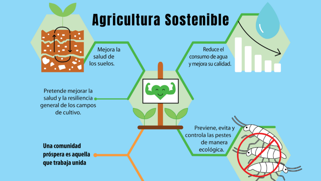 Agricultura Sostenible 300ppi 01 1